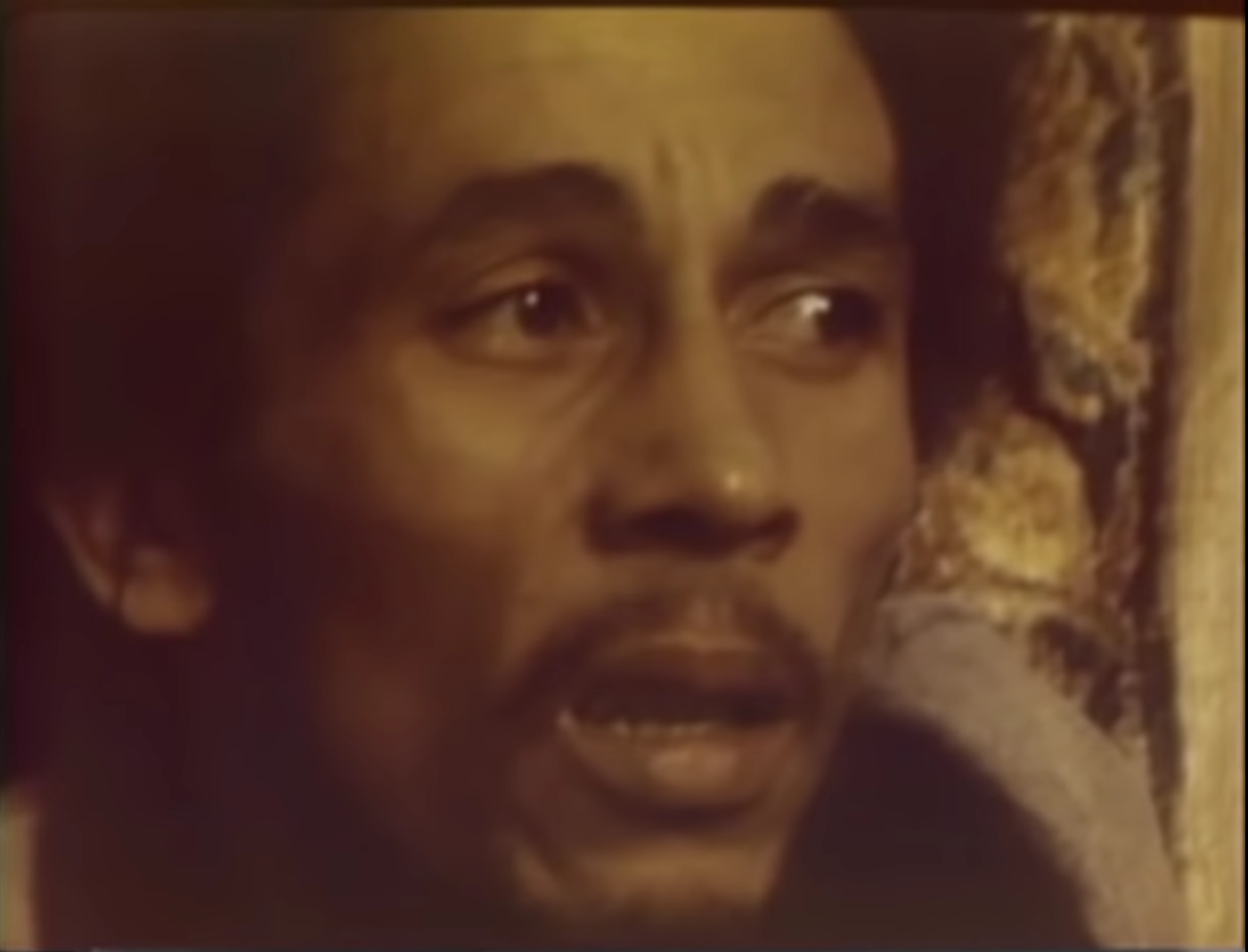 Bob Marley Interview from the American Survival Tour, November 1979