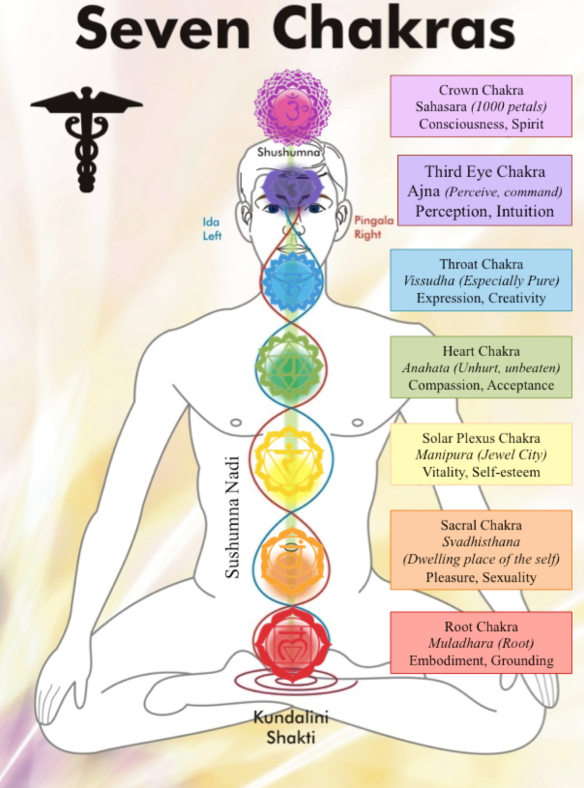 Understanding Hinduism: The Basics — COSY